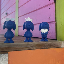 COFFRET SNOOPY - EXTRA SMALL