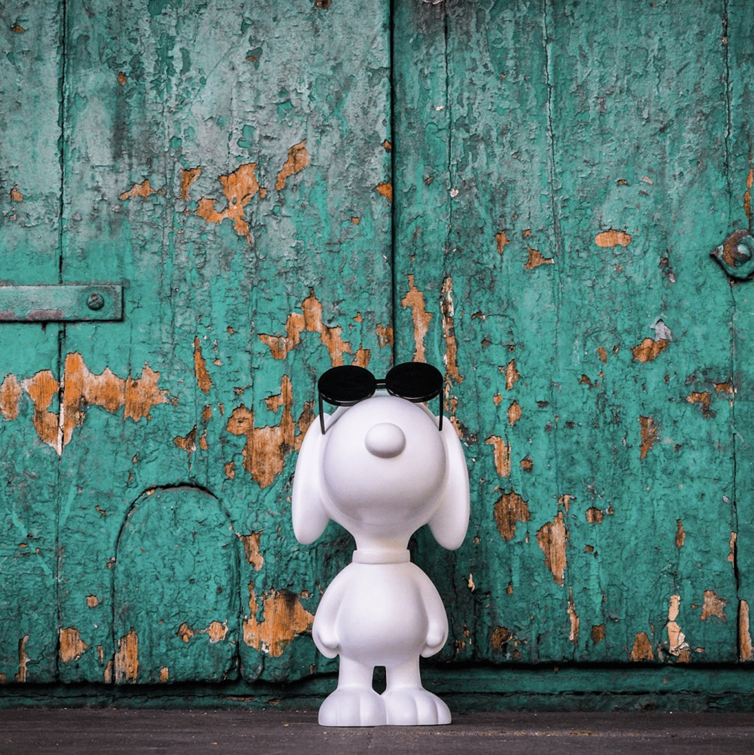 LUNETTES SNOOPY SUN - SMALL