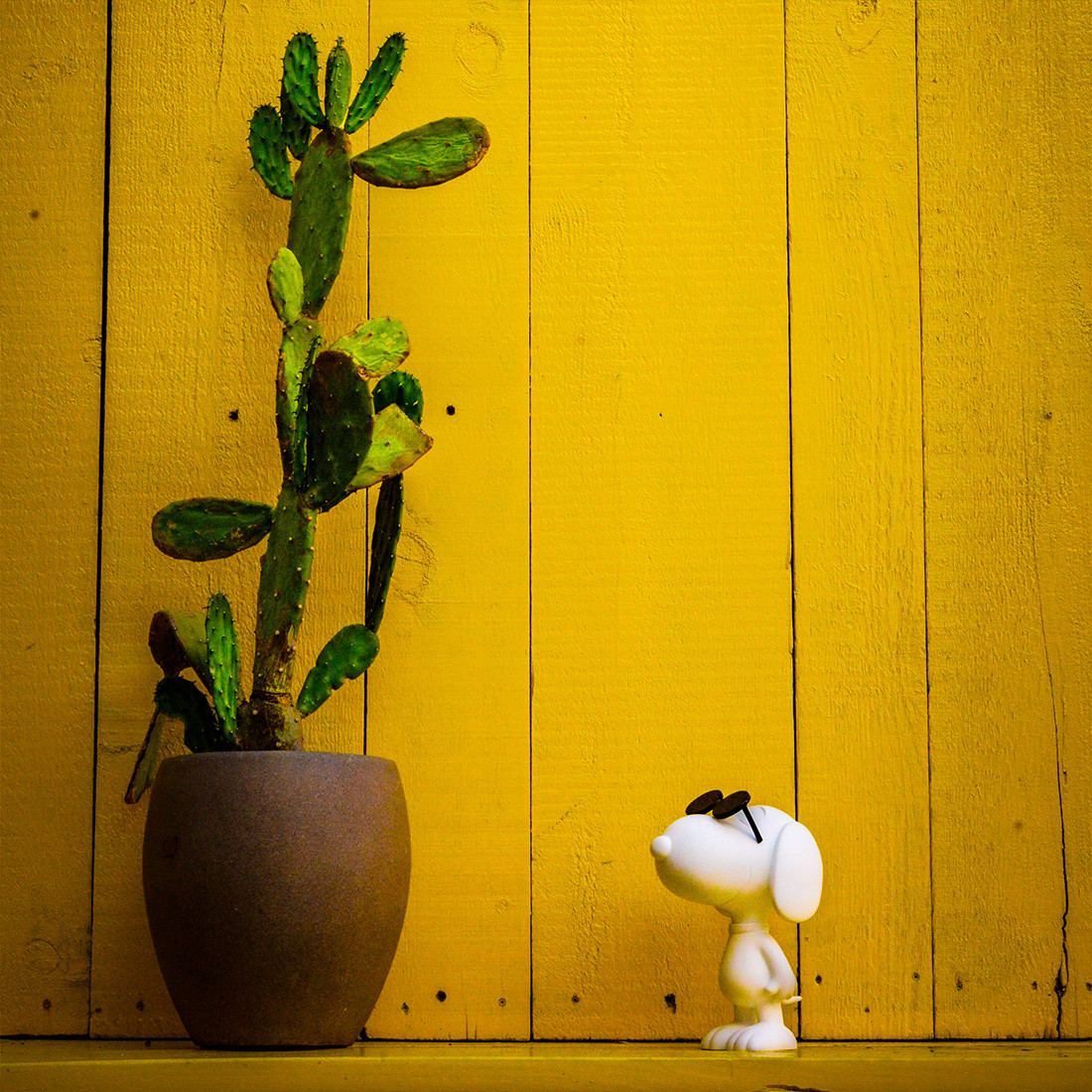 SNOOPY SUN - SMALL