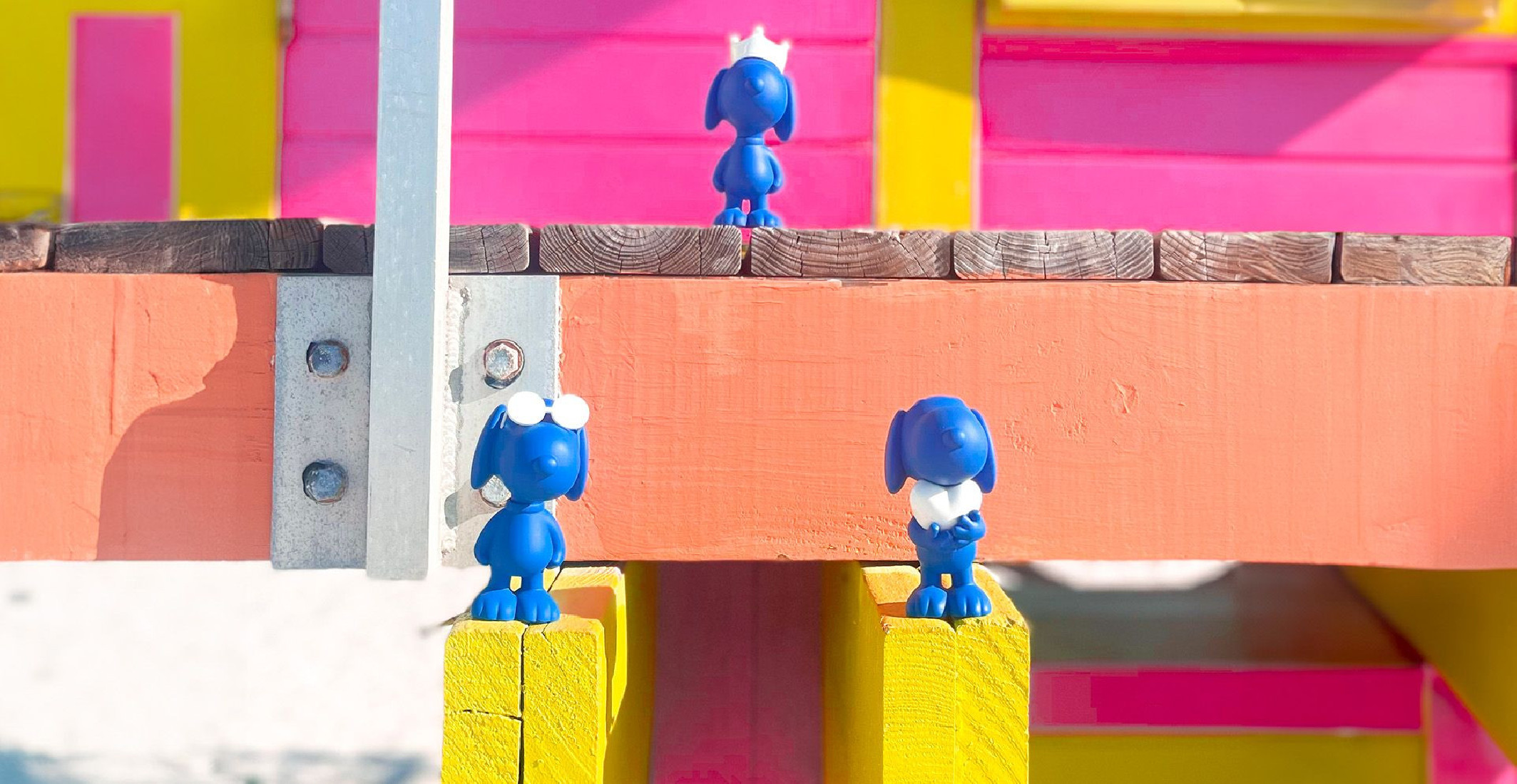 COFFRET SNOOPY - EXTRA SMALL