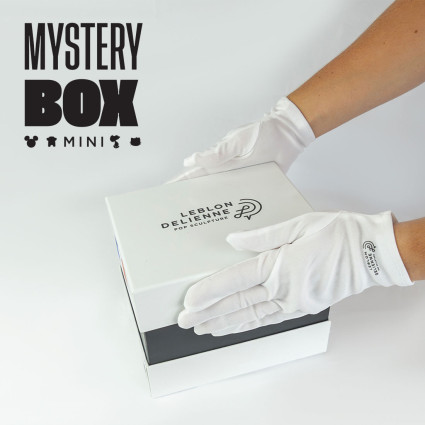 MYSTERY BOX - EXTRA SMALL