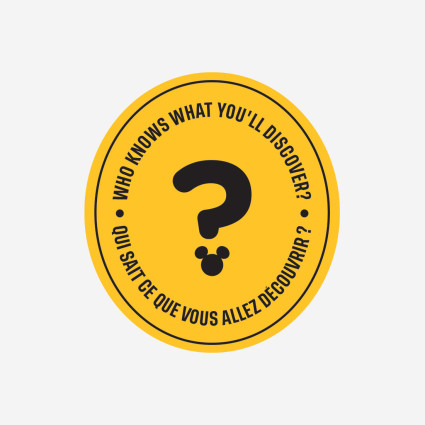 MYSTERY BOX - SMALL 2