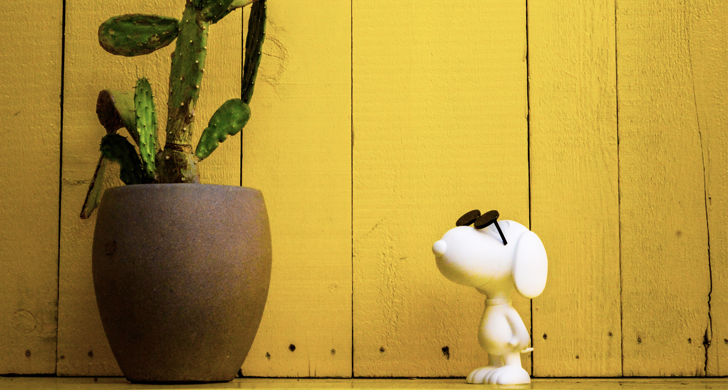 A New Generation Discovers the Real Snoopy - The Atlantic